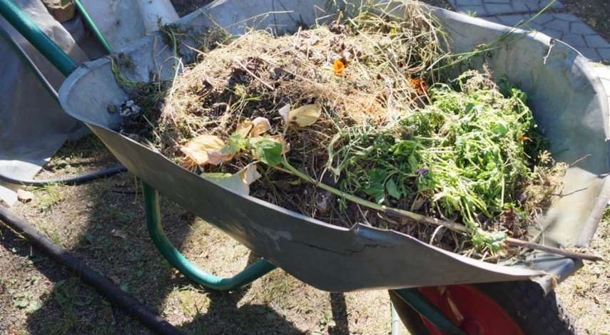 Теплая грядка