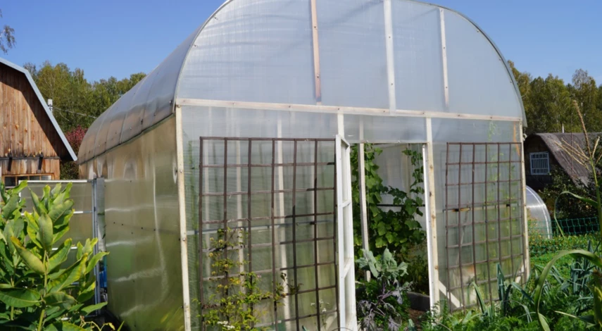 Обработка теплицы в сентябре