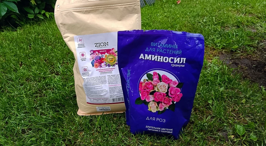 Удобрения при посадке роз