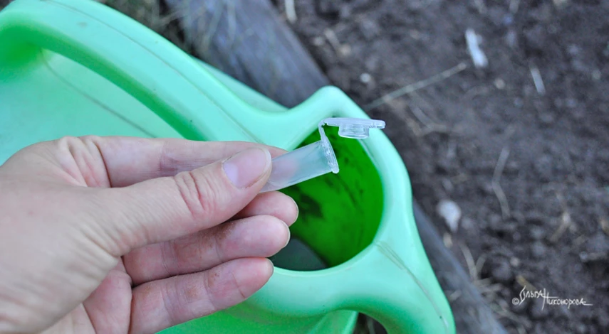 Стимуляторы роста для флоксов