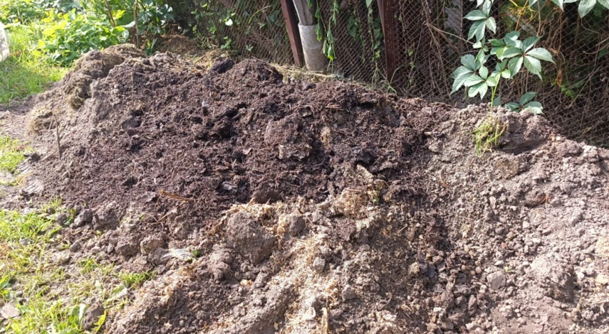 Грунт для посадки клубники