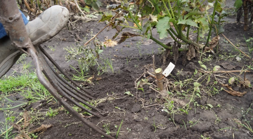 календарь на октябрь