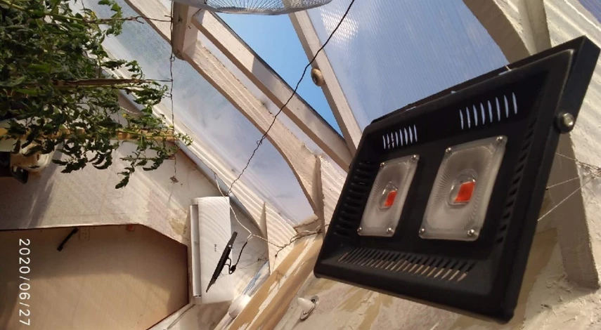 как сделать зимний сад своими руками