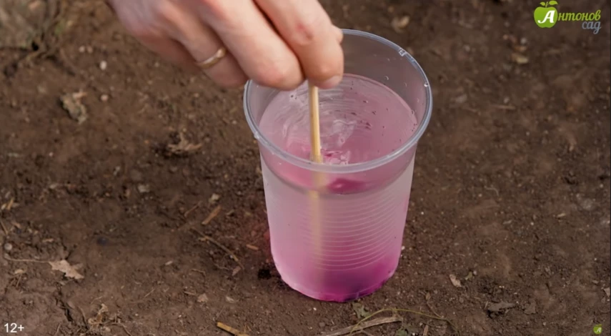 Обработка почвы в теплице