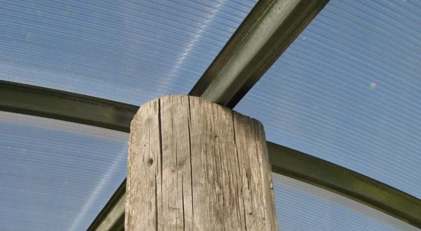 Обработка теплицы от болезней