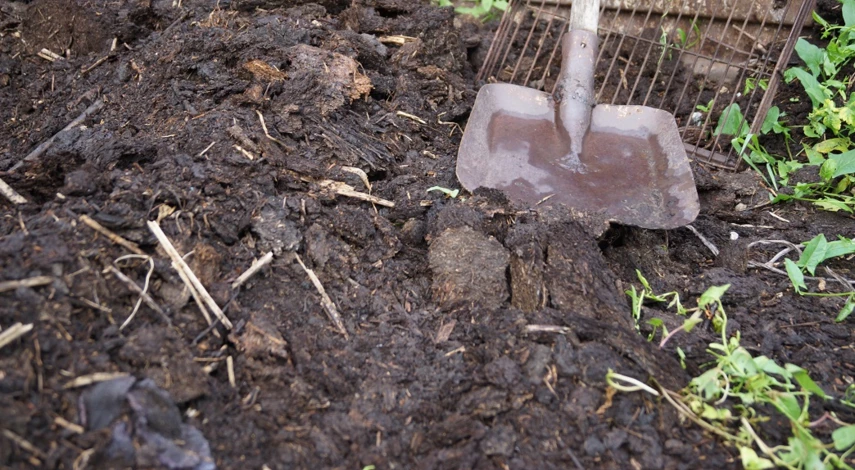 Как улучшить почву