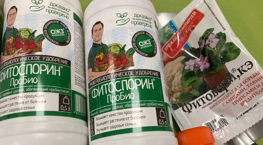 Обработка почвы в теплице осенью