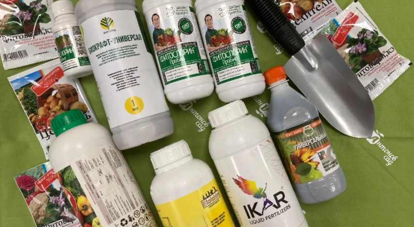 Чем обработать почву в теплице осенью