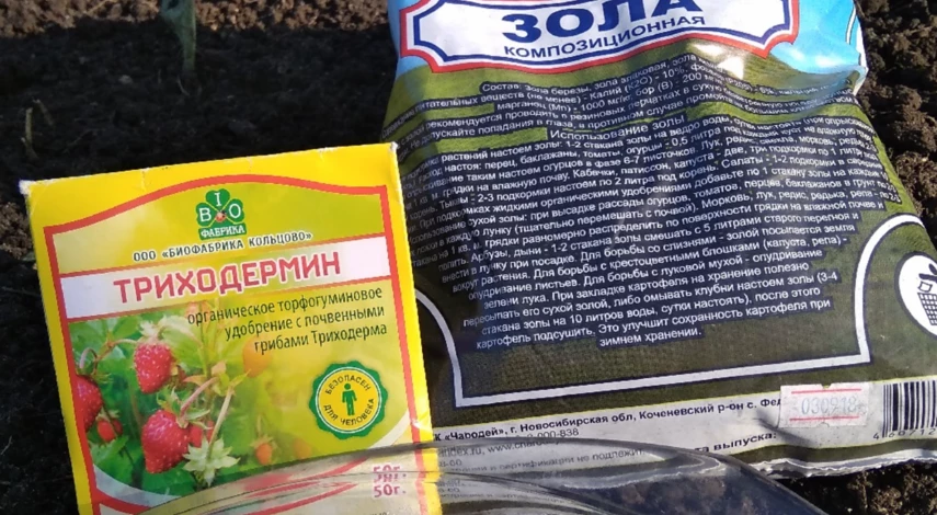 Как обеззаразить почву в теплице