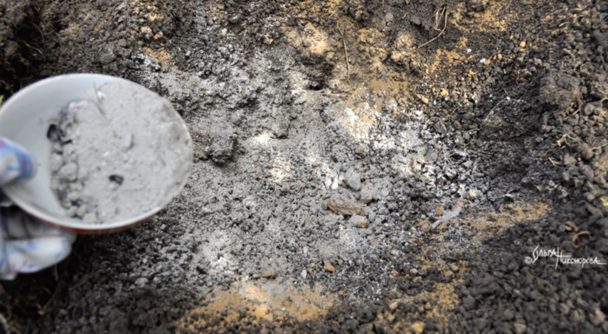 Определение кислотности почвы в домашних условиях