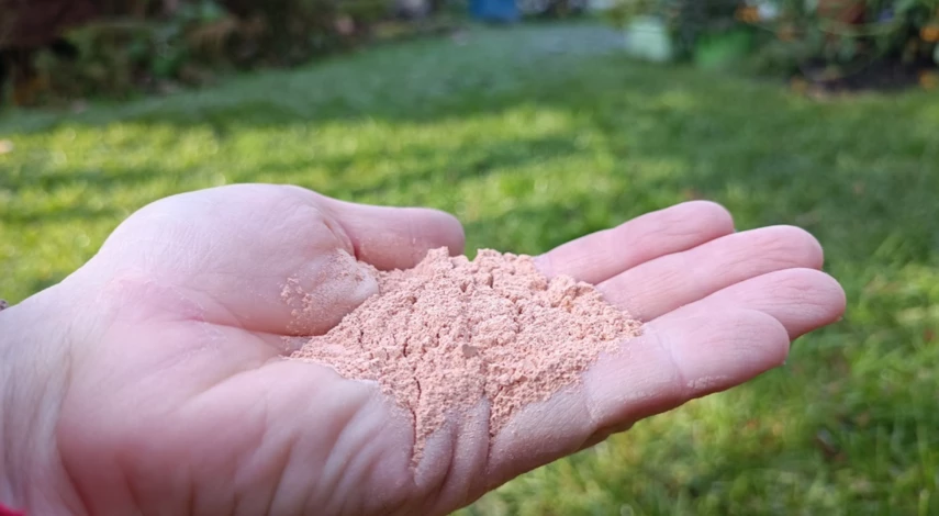 Измерение кислотности почвы