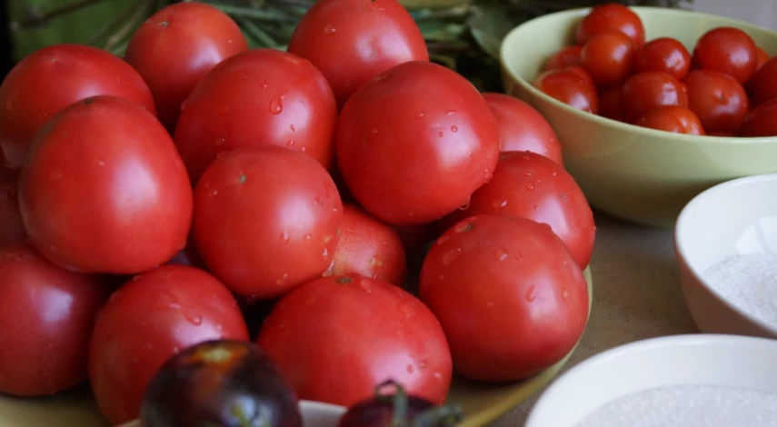 Помидоры для заготовки из баклажанов