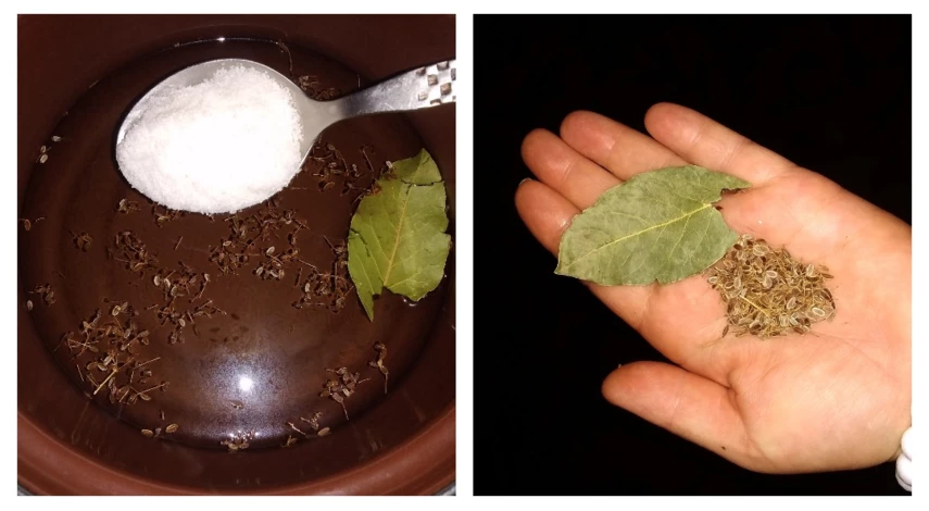 Краснокочанная капуста на зиму