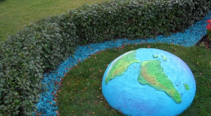 Кизильник живая изгородь