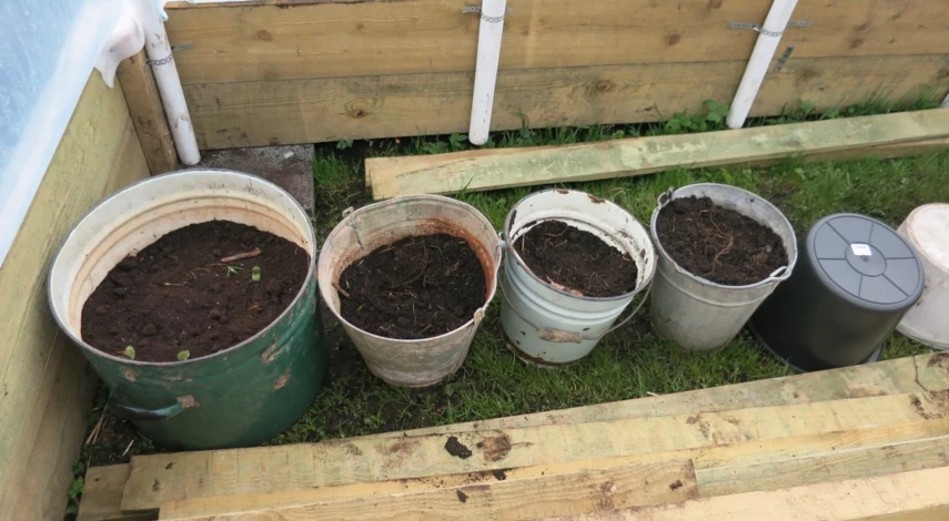 выращивание огурцов дома