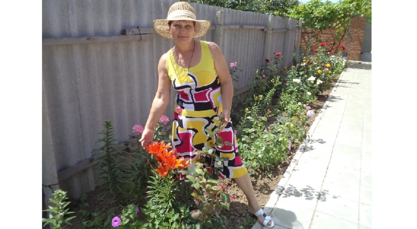 посадка азиатских лилий