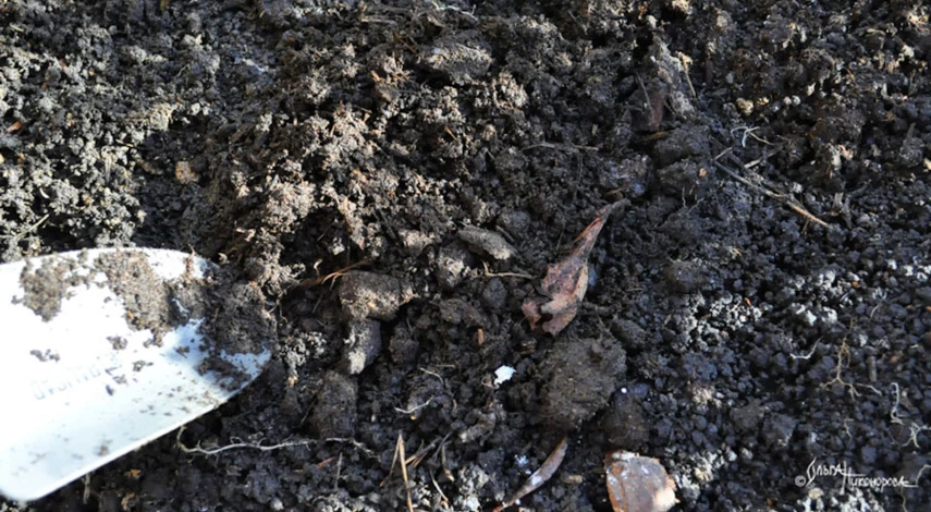 Правильная посадка