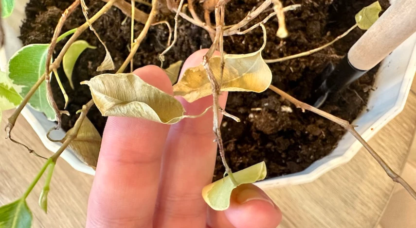 неблагоприятные дни в ноябре 2023