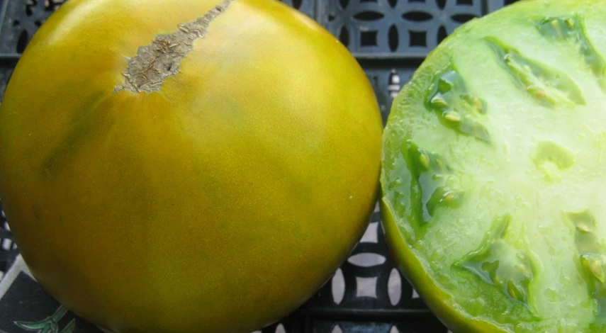 сорт помидора зеленый чероки грин