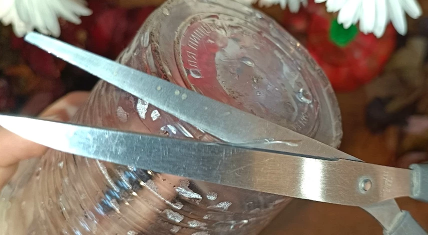 Как размножить пузыреплодник