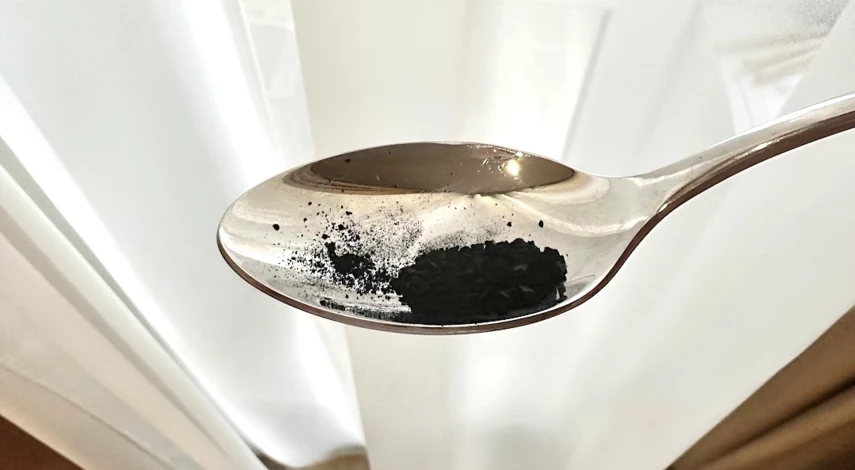 Фикус Бенджамина уход и обрезка