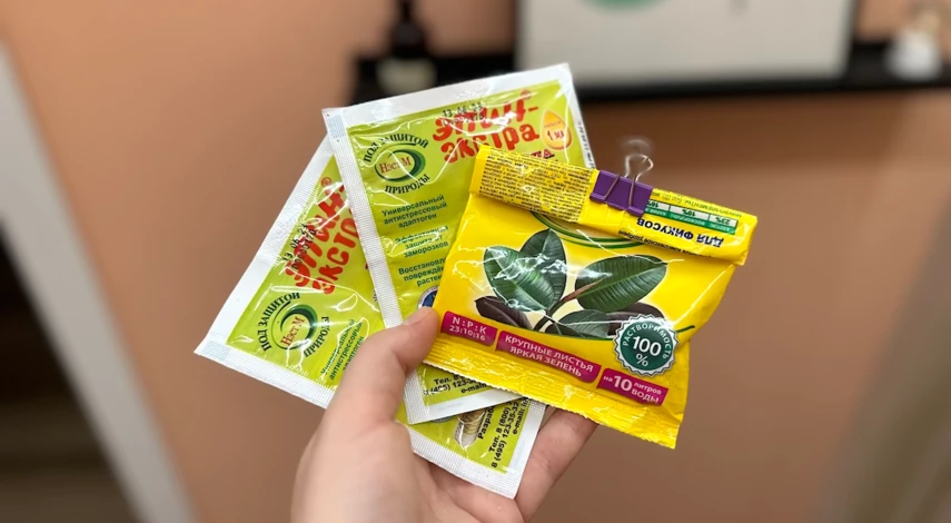 Фикус бенджамина осыпаются листья