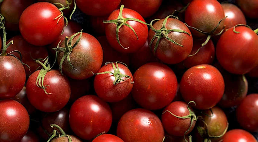 сорт томатов черный жемчуг