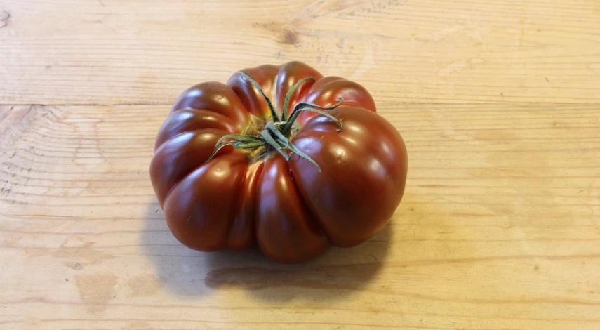 сорт томатов черный принц