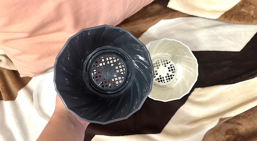 диффенбахия пересадка после покупки