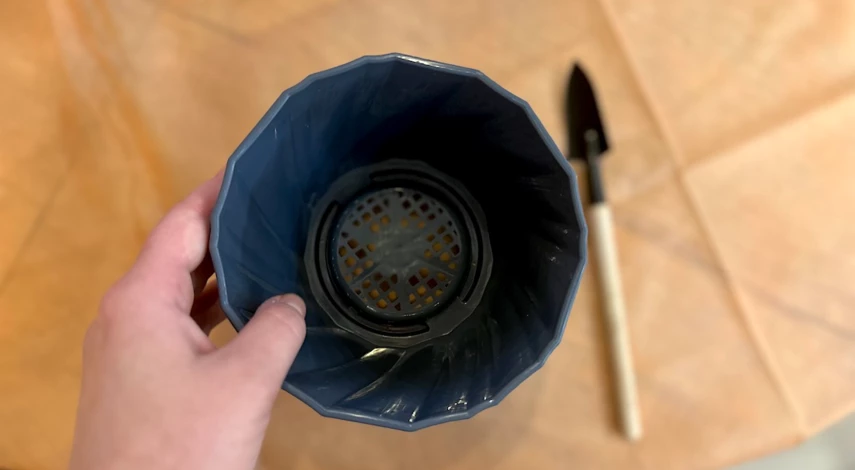 диффенбахия цветок пересадка