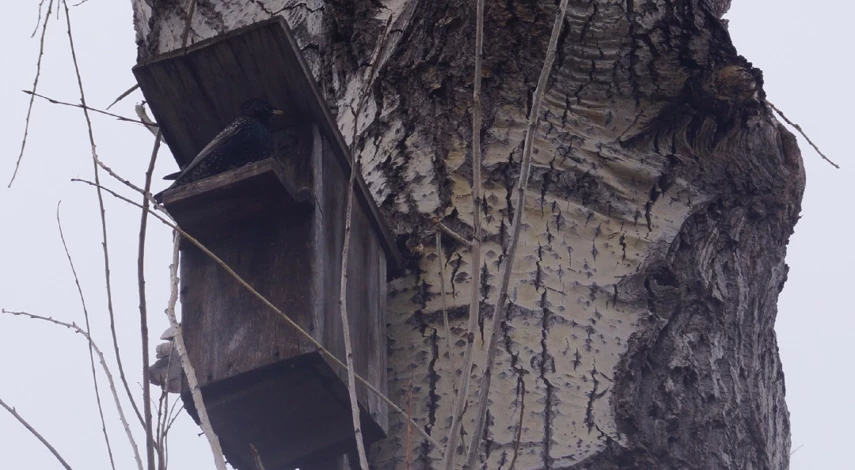 что делать на даче в декабре