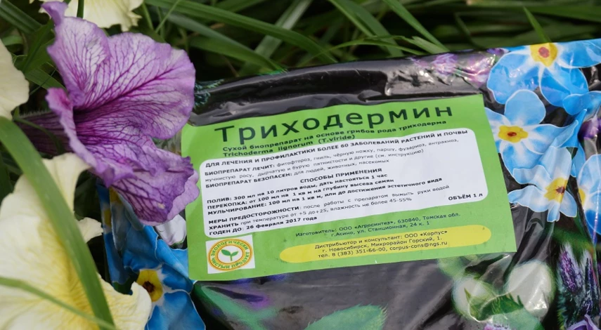 как хранить триходермин