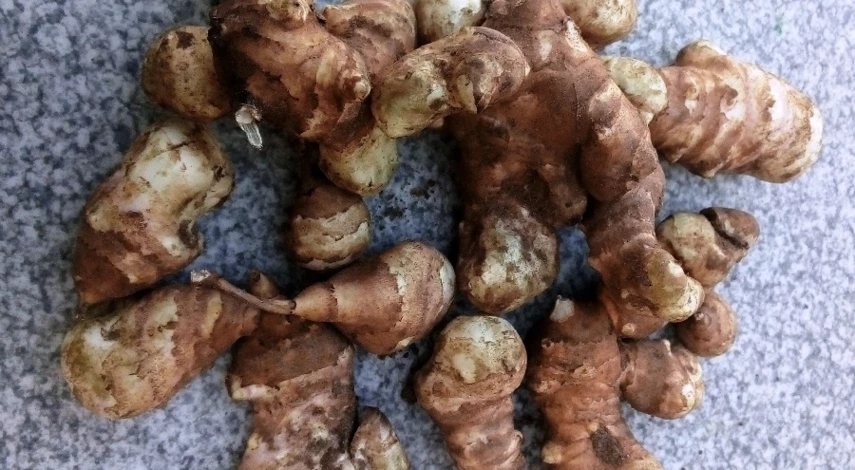 топинамбур