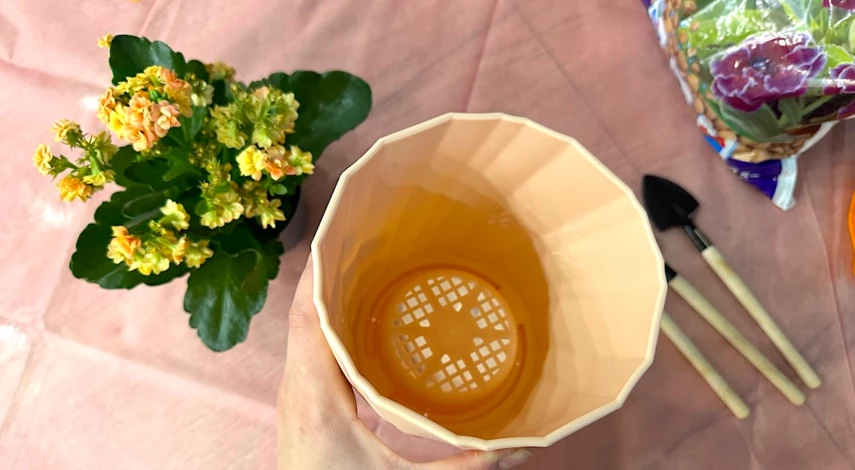 горшок для каланхоэ