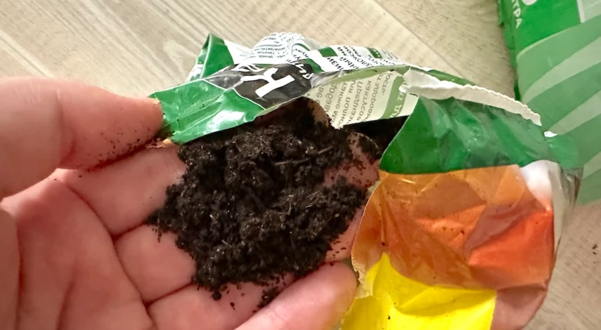 грунт для каланхоэ