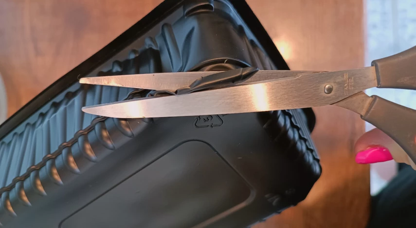 Как размножить кактус без деток