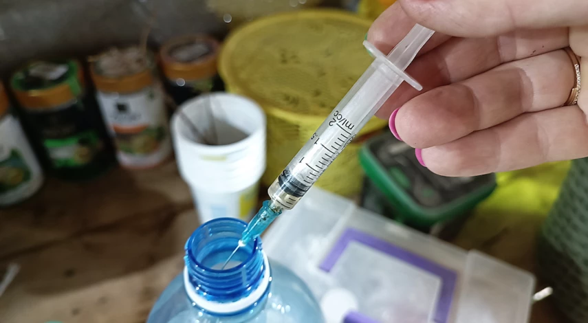 Маммиллярия кактус размножение, как размножить