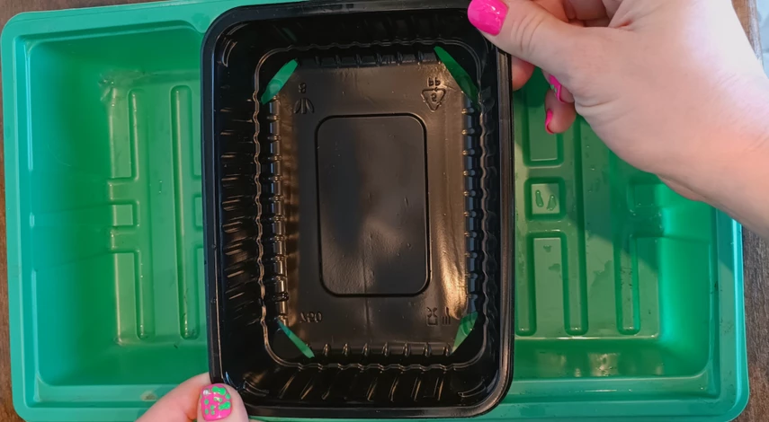 Размножение кактуса детками