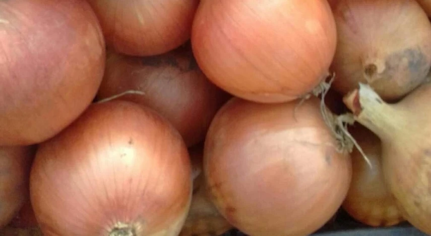 Подкормка для комнатных цветов из луковой шелухи