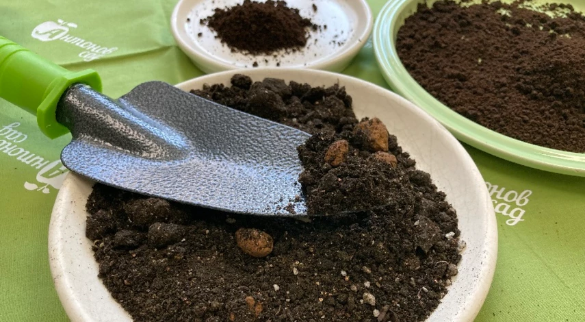 Кофейная гуща как удобрение для огорода