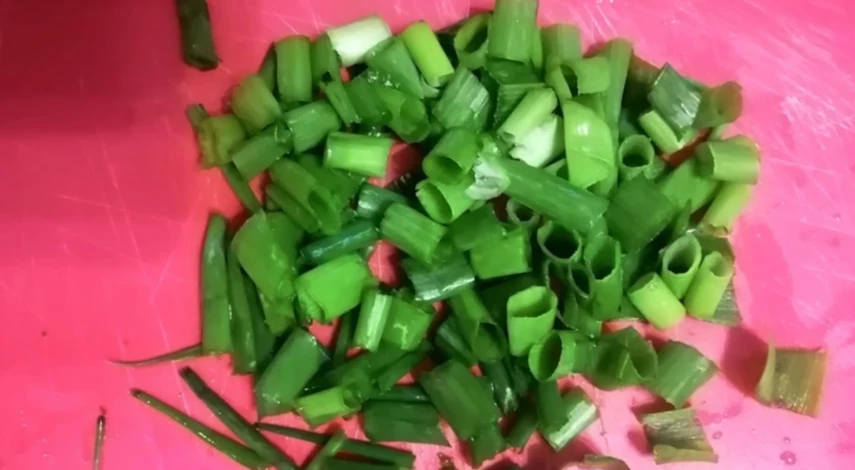 Выращивание семейного лука в открытом грунте