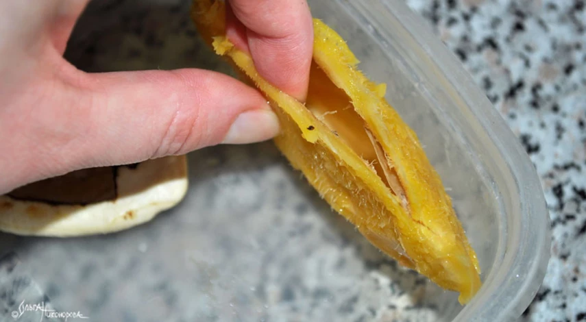 Манго из косточки в домашних условиях