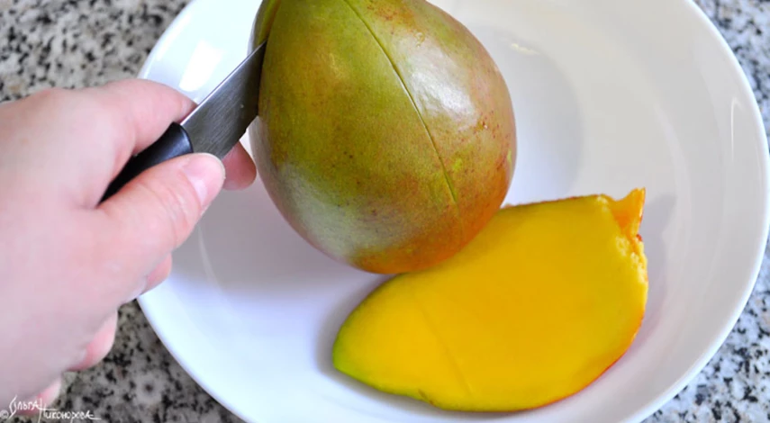 Как вырастить манго из косточки