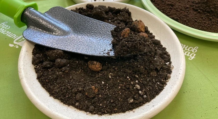 грунт для рассады