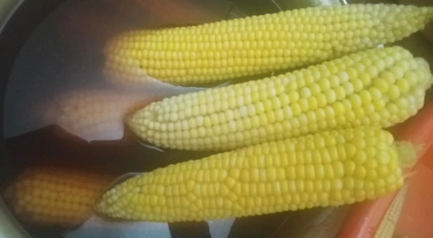 уход за кукурузой