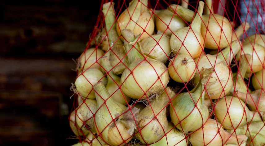 Как хранить лук севок зимой