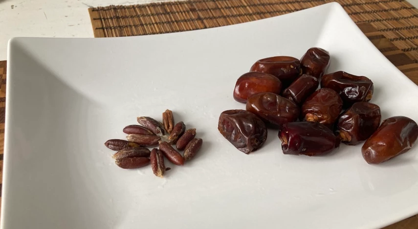 Выращивание фиников из косточки