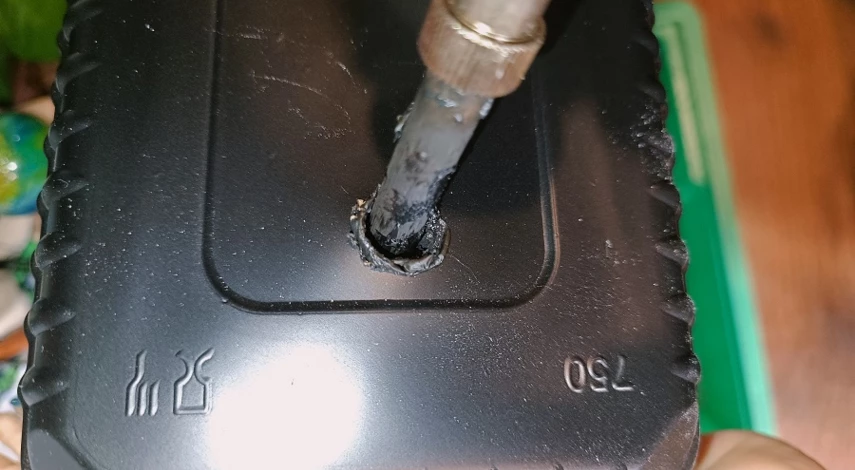 Посадка эустомы фото