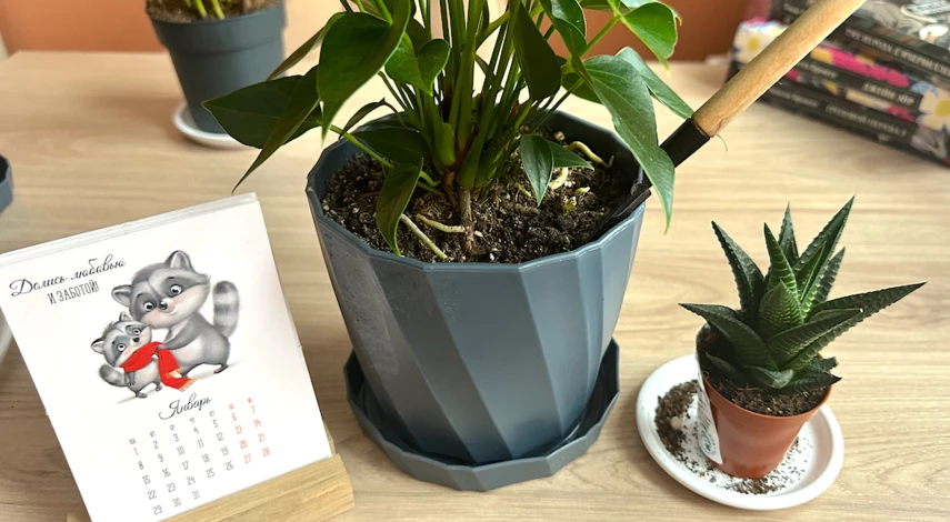 неблагоприятные дни января 2025