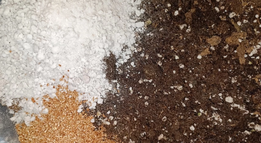 Грунт для петунии